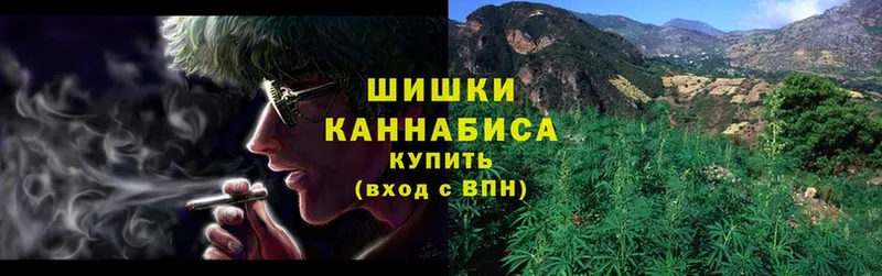 Бошки марихуана OG Kush  купить наркотики цена  Александровск 